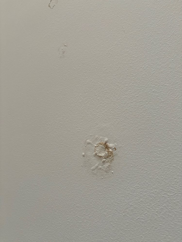 Reparation af loft efter vandskade