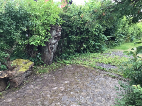 Klipning og bortskaffelse af hæk