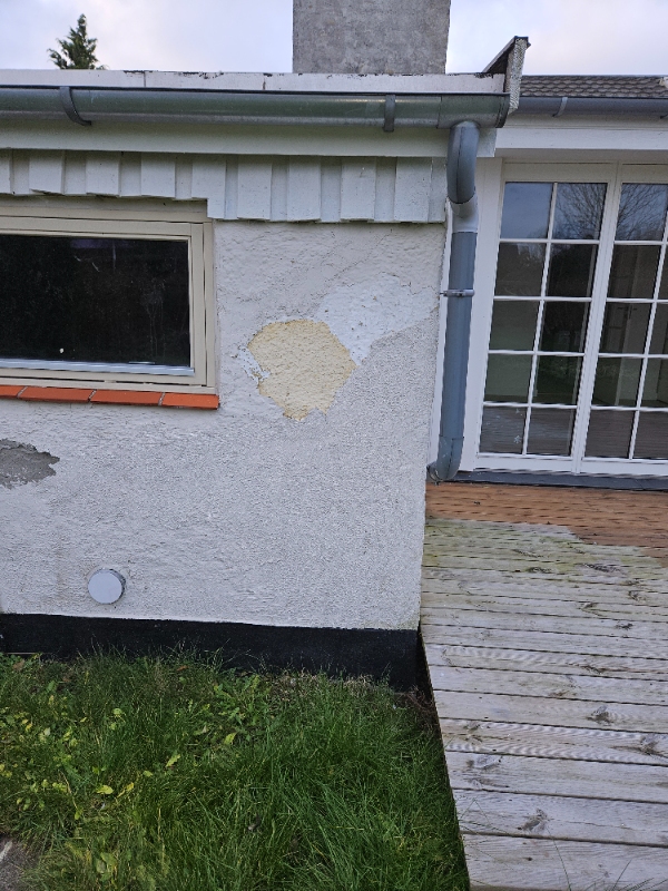 Reparation af mur samt maling