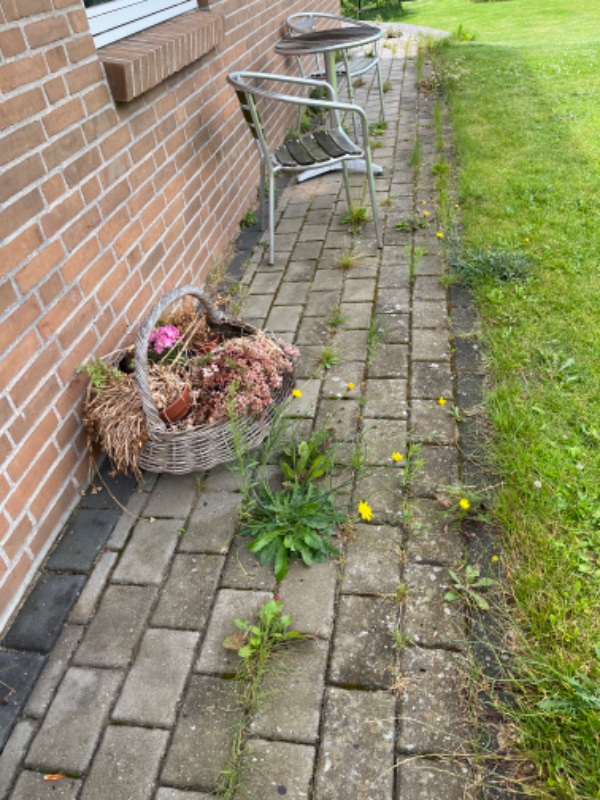 Ukrudtsfjerning og kantstikning