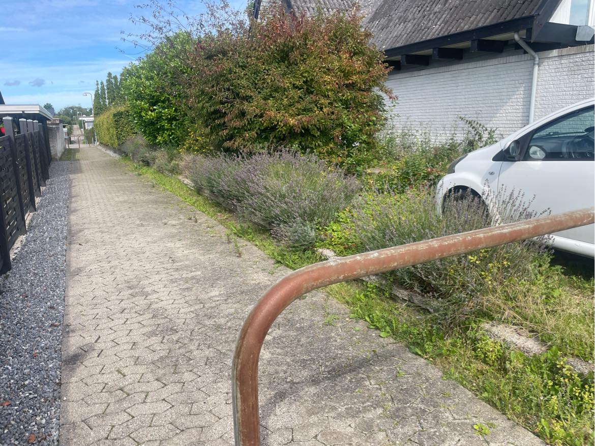 Vedligeholde forhave