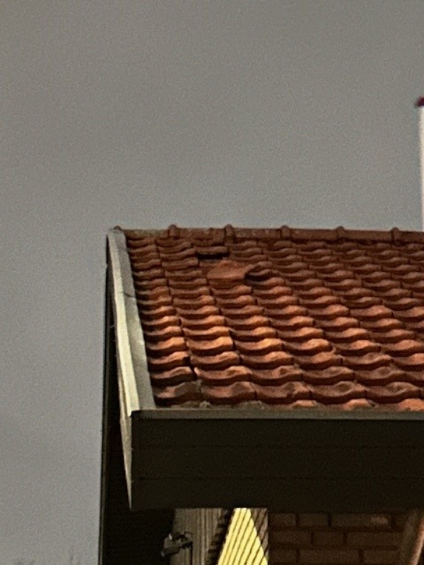Reparation af teglsten efter storm