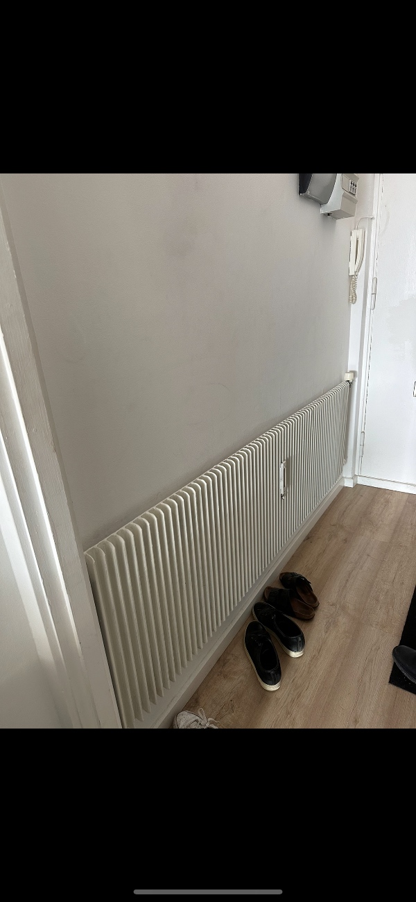 Afmontering af Radiator
