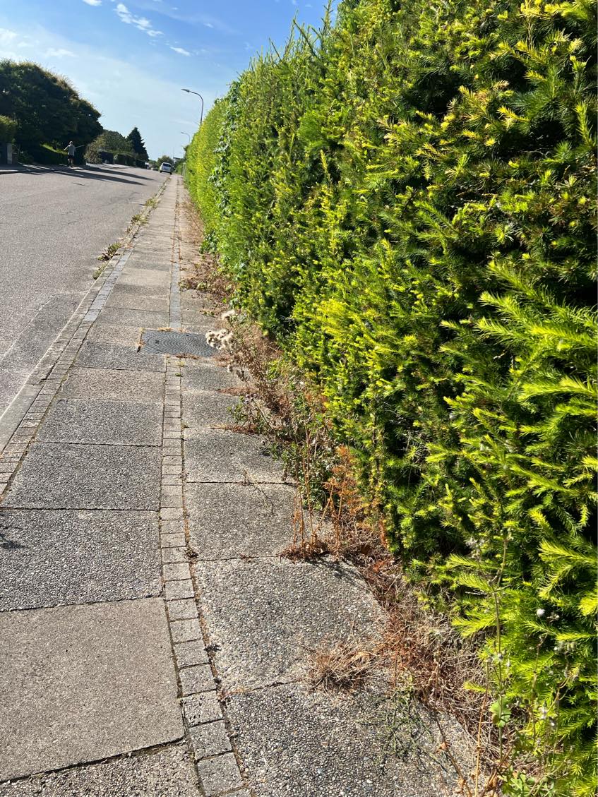 Havearbejde - ukrudtsbekæmpelse