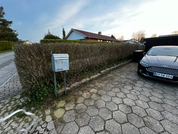 Lugning af hæk og efeu