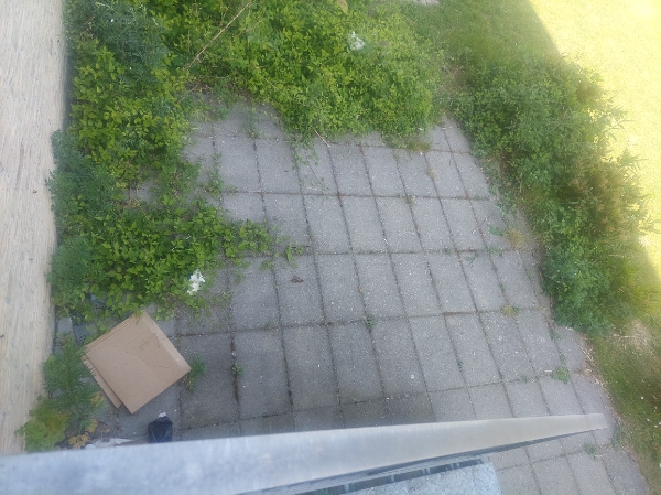 Ordne baghave med klipning, fjerne ukrudt, sætte hegn op og sætte beton på have.