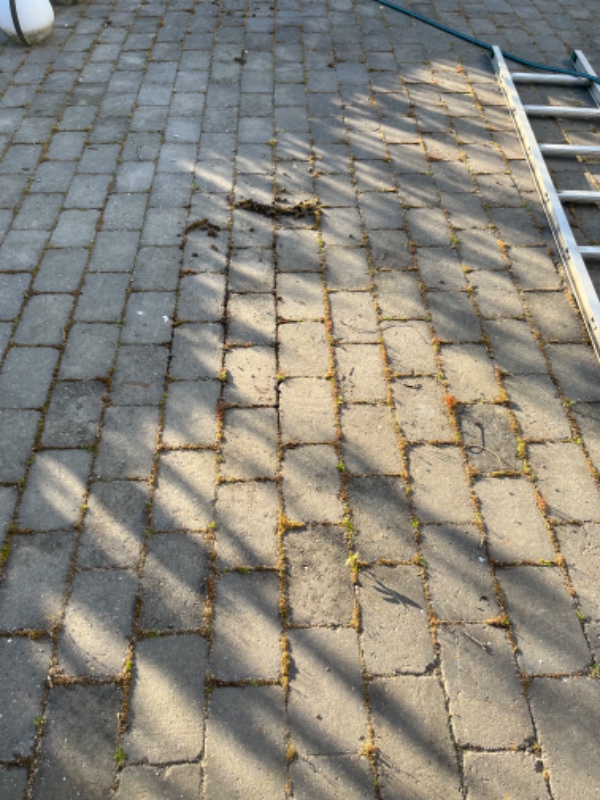 Fjernelse af mos og ukrudt mellem fliser 