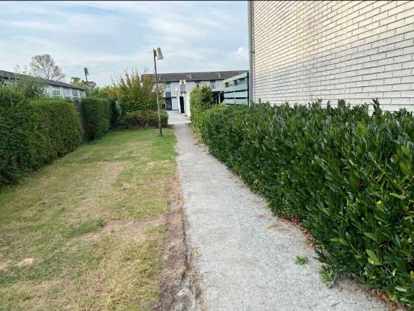 Afhent Jord Og Fliser