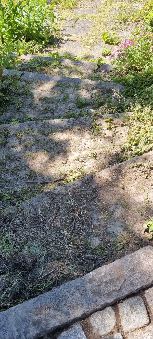 fjerne ukrudt på trappe, sti, terasse