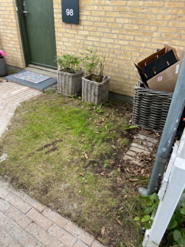 Fjernelse af gammelt græs