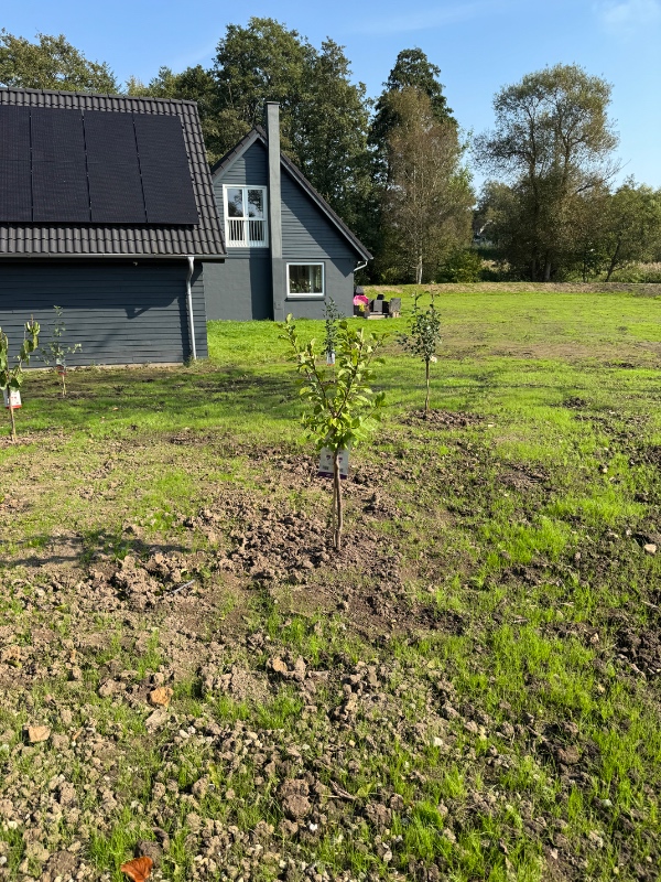 Plæning af have og fjernelse af sten - montering af robotkabel