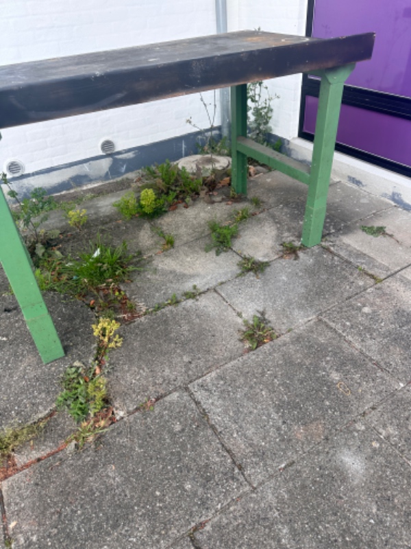 fjernelse af ukrudt foran bygningen og i indkørslen