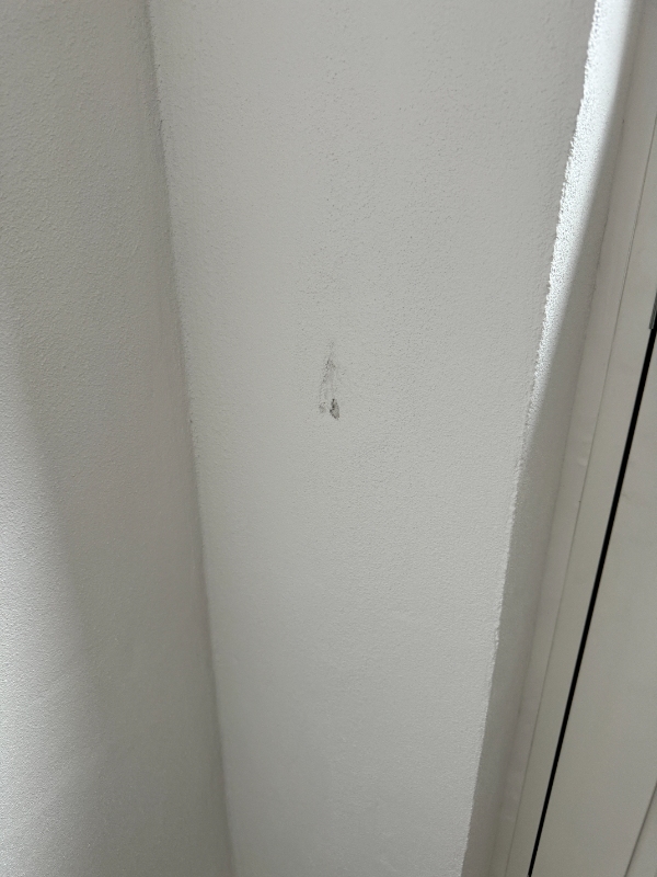 Levering og montering af LK Fuga i tilbygning