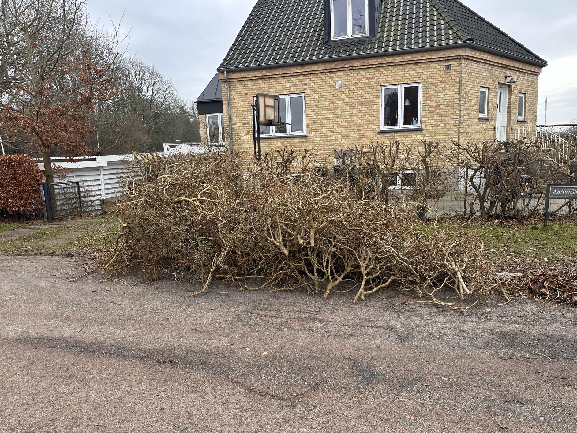 Kørt affald fra beskæring af hæk til haveaffald
