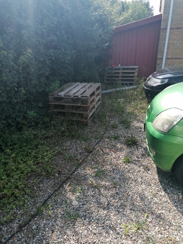 Klippe hæk og fjerne ukrudt