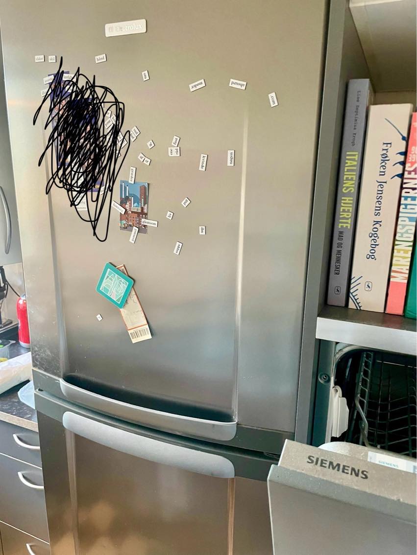 Afmontering og flytning af køle-fryseskab og opvaskemaskine