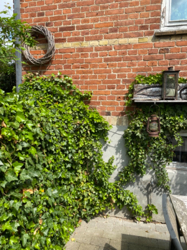 Vi søger en elektriker som kan trække jord til køkken fra  jordspyd i haven