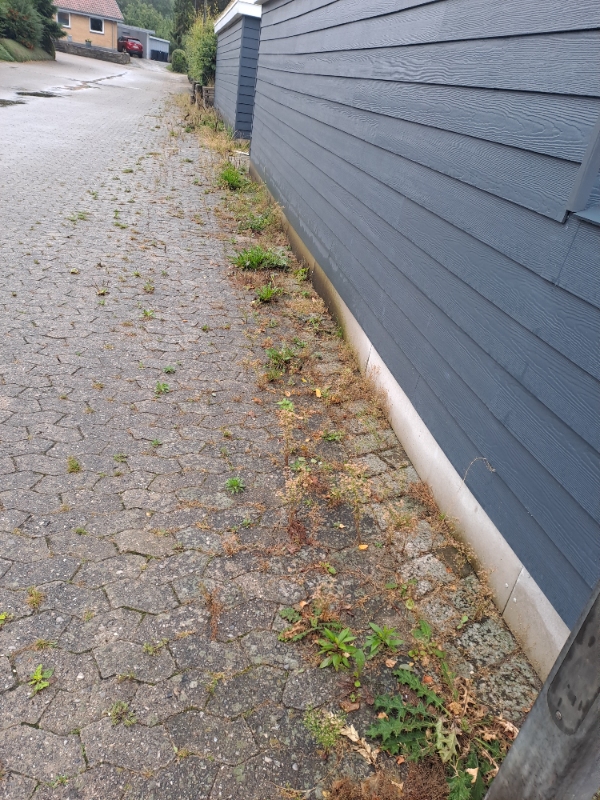 Ukrudt fjernelse og hæk klipning