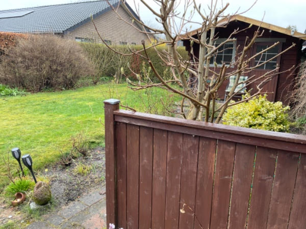 Lille have og ukrudt ved fliser