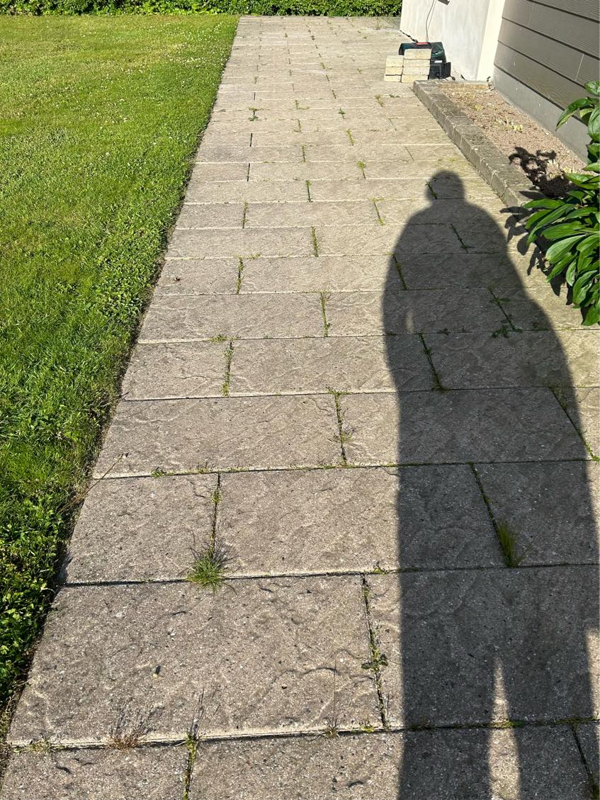 Ukrut i haven i mellem fliser og langs husmur