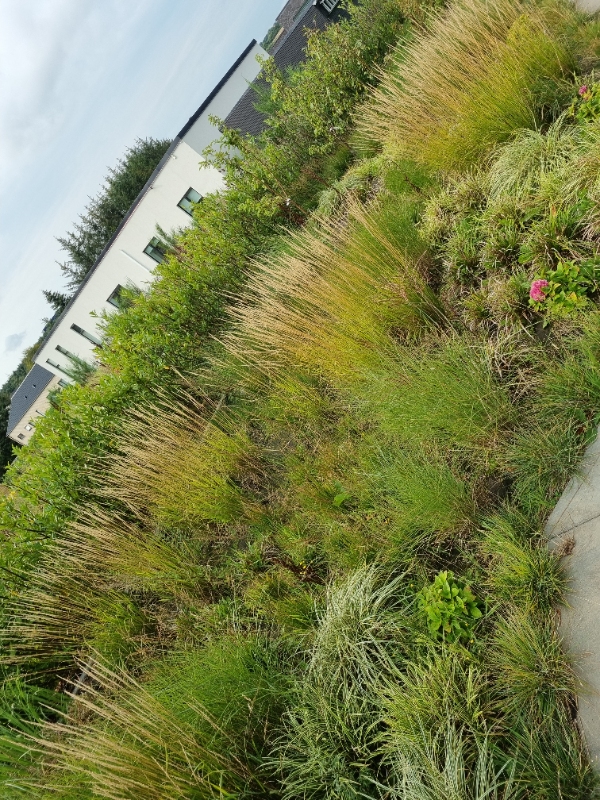 Havearbejde samt bortkørsel af stort affald.