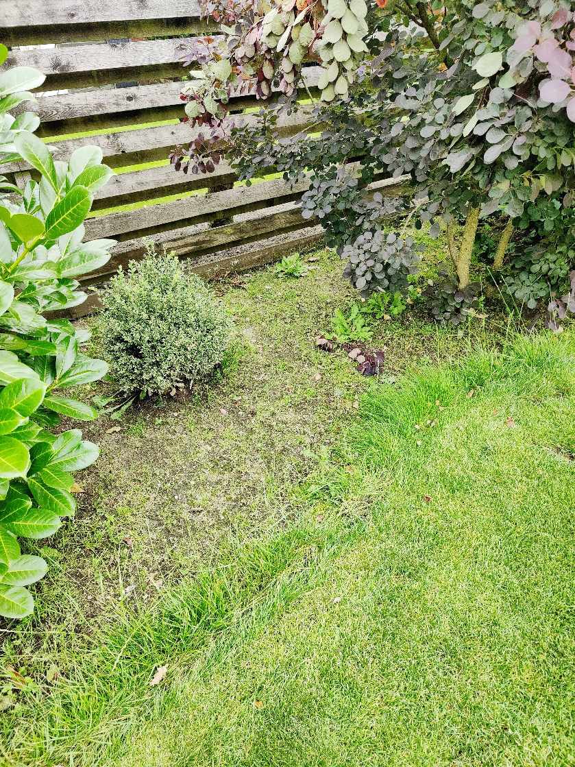 Vedligehold af blomsterbede