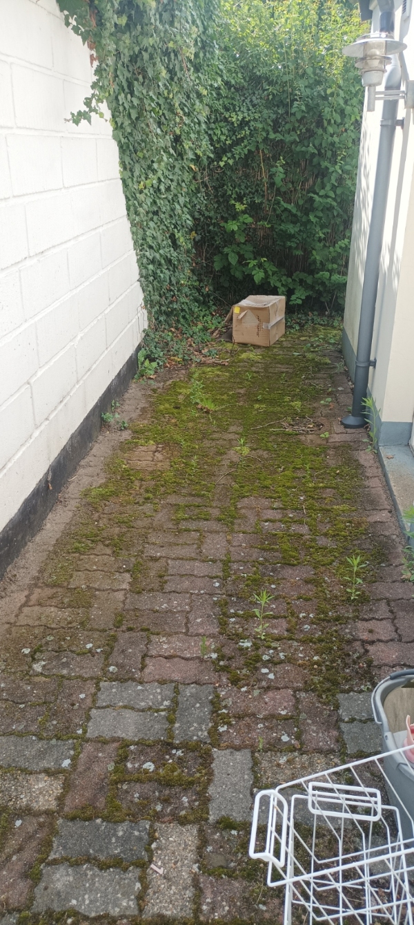 Ukrudtsfjernelse, fliserens, genbrugskørsel