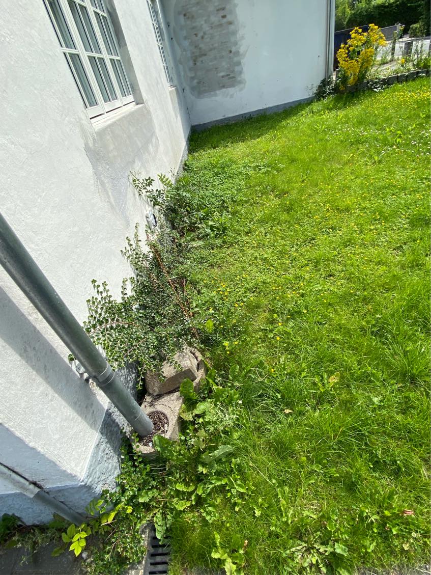 Ukrudtsfjernelse og græsklipning og hækklipning