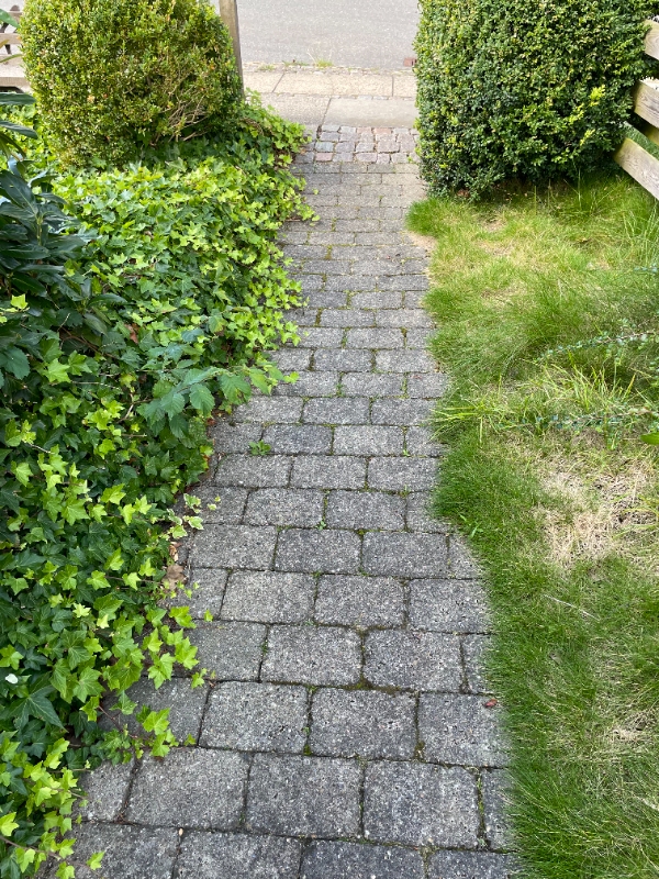 ukrudt af flisegang og fliseterrase samt klip af kant i græsplæne