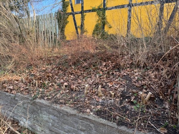 Fjernet haveaffald (inkl. hæk der er skåret ned)