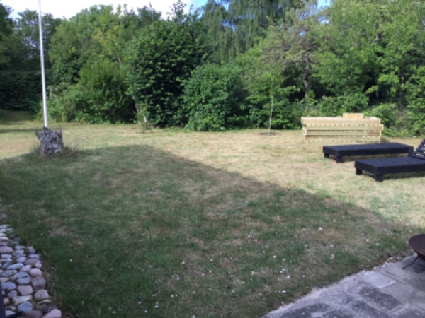 Slået græs i have udenfor Stege