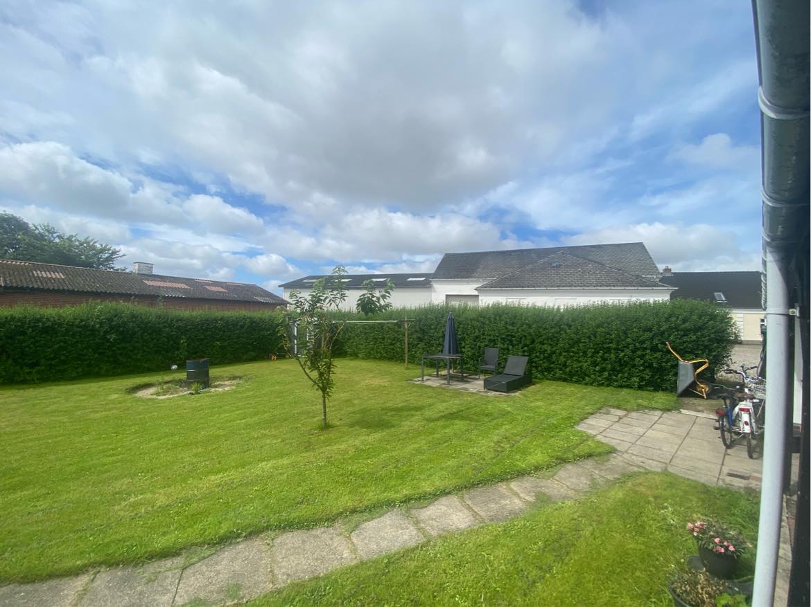 Havearbejde - hækklipning 60 m