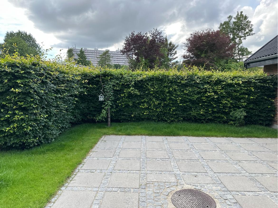 Garden lawn moving and fence trimming