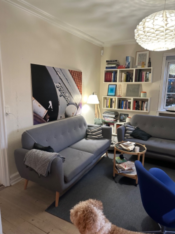 Fjerne savsmuldstapet, spartle vægge, fræse el ind og sætte filt op i en mindre stue.