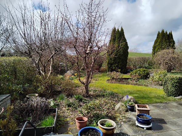 Beskåret træer og buske + luget