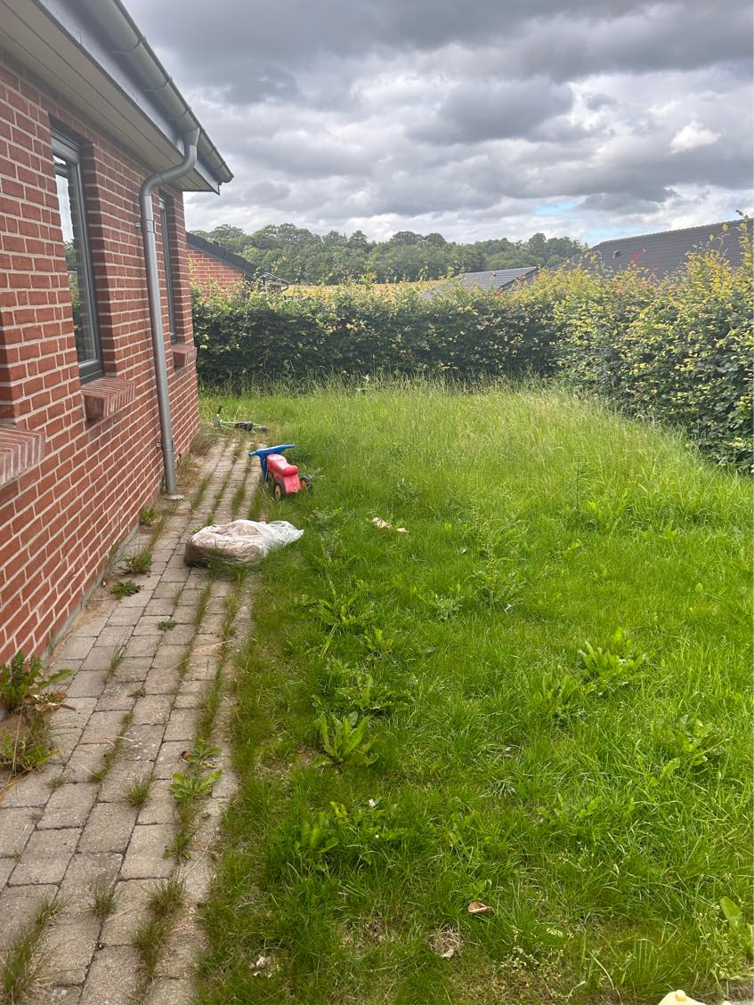 Klippe græs og hæk