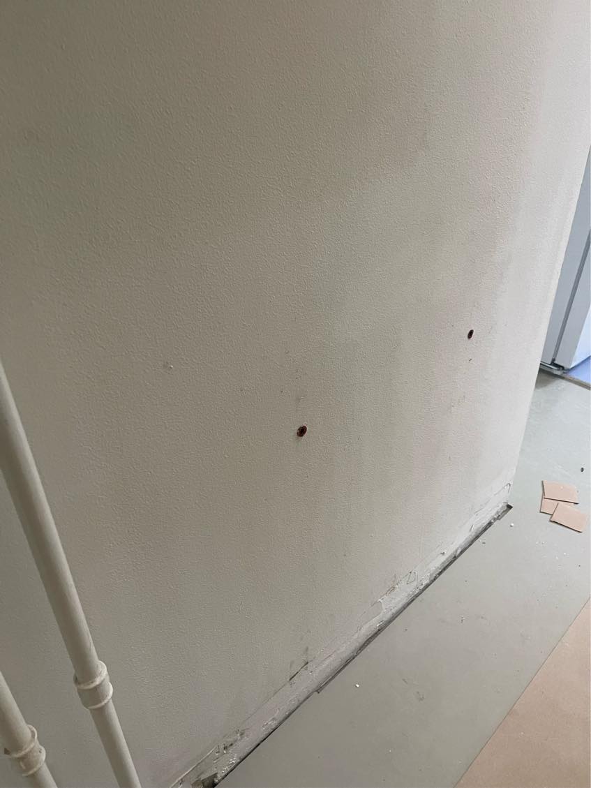 Reparation af filt på vægge