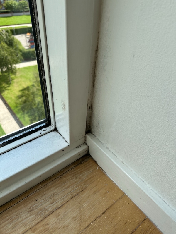 Udskiftning af gummifuger omkring 4 vinduespartier og gummifuger i bruseniche