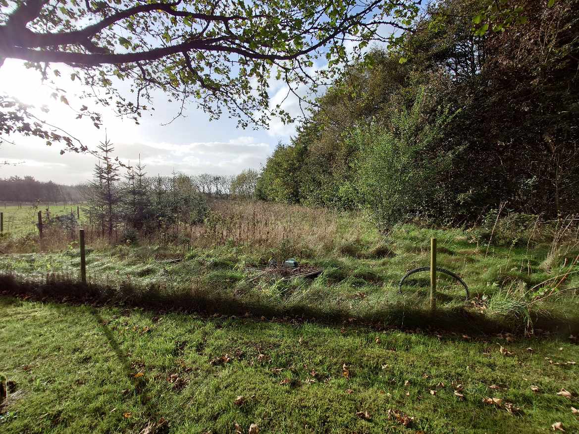 Klargøring til ridebane, grønt træer skal fjernes