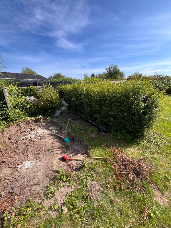 Fjerne hæk i baghave og klippe bøgehæk i forhave indvendigt