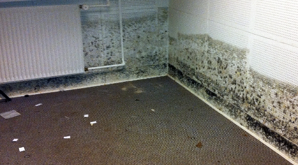 Nedrivning af gammelt hus