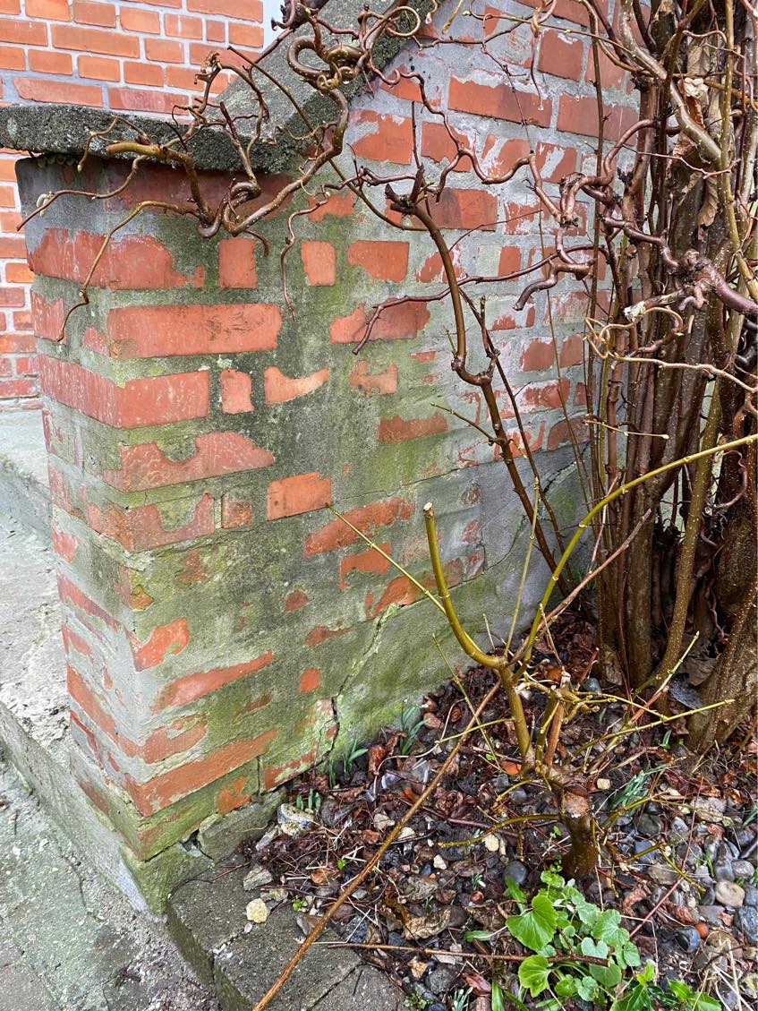 Mure trappe udendørs