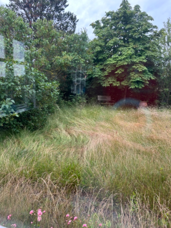 Klipning af højt græs i have