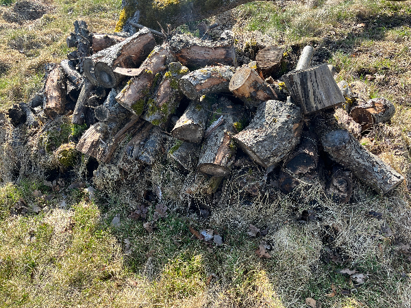 Afhentning af haveaffald