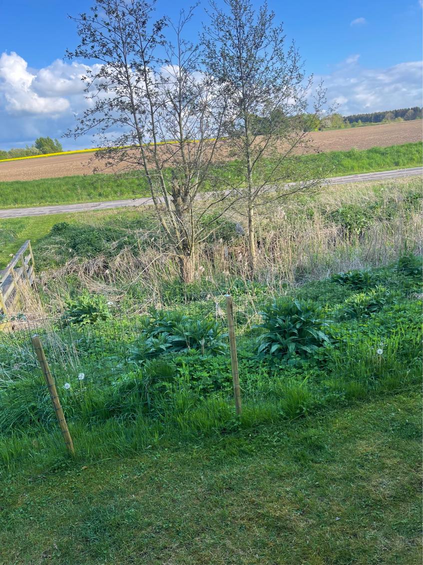 Udvidelse af have ned til åen