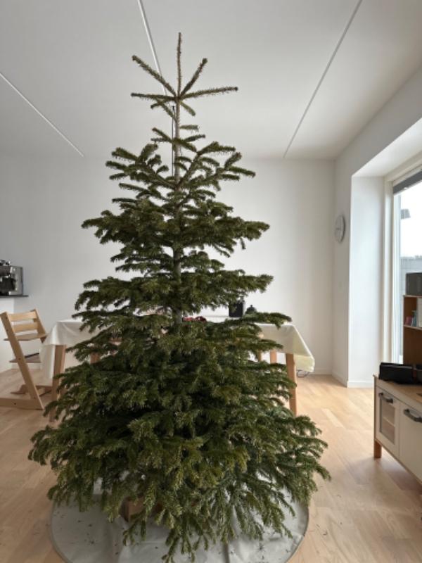 Køre juletræ til genbrugsstation