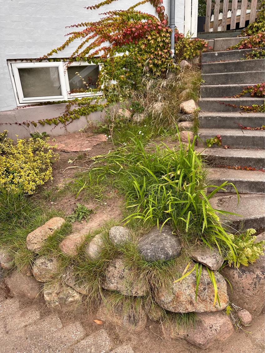 Rydning af ukrudt og sten