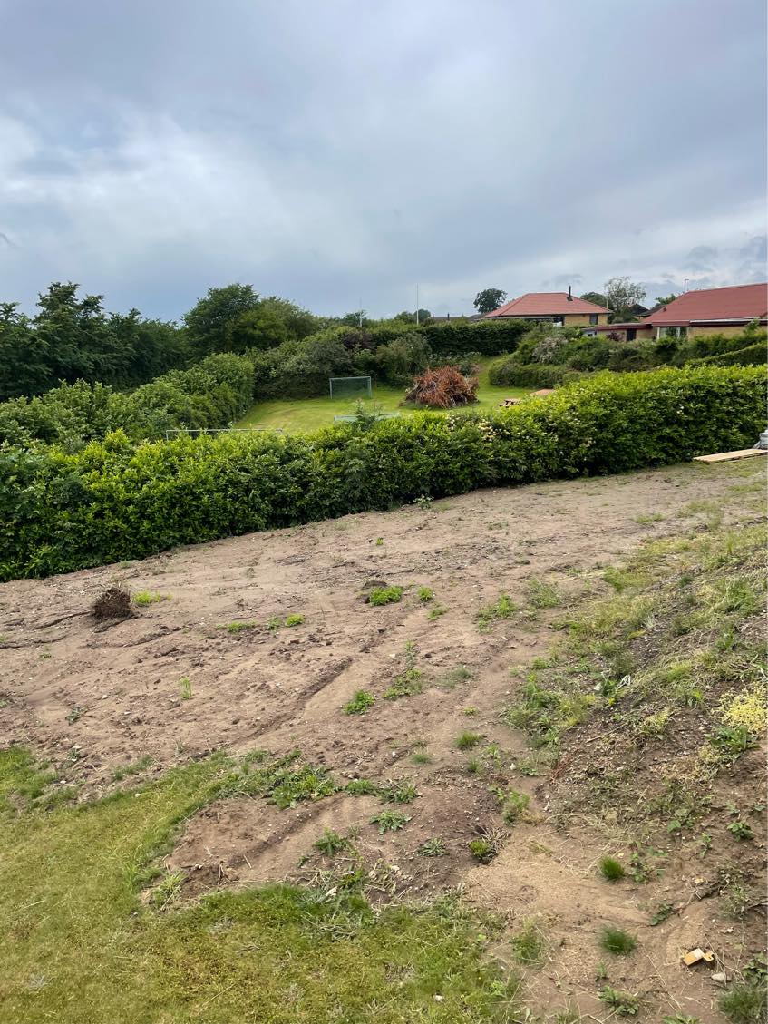 Anlægning af græsplæne