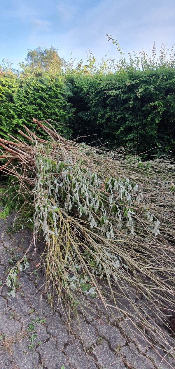 Bortkørsel af haveaffald og nedløbsrør
