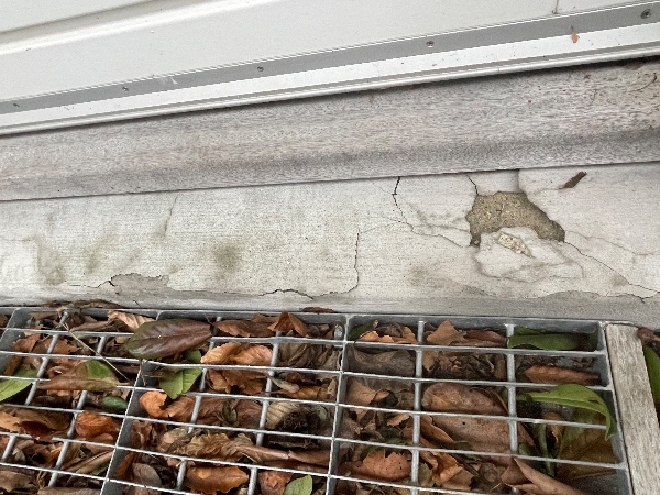 reparation af sokkel